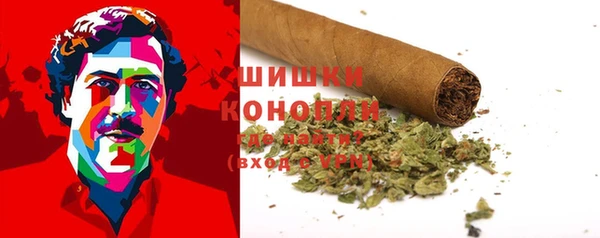 дурь Алзамай
