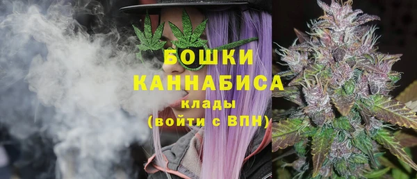 дурь Алзамай