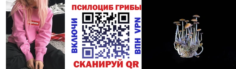 как найти   Якутск  Галлюциногенные грибы мухоморы 
