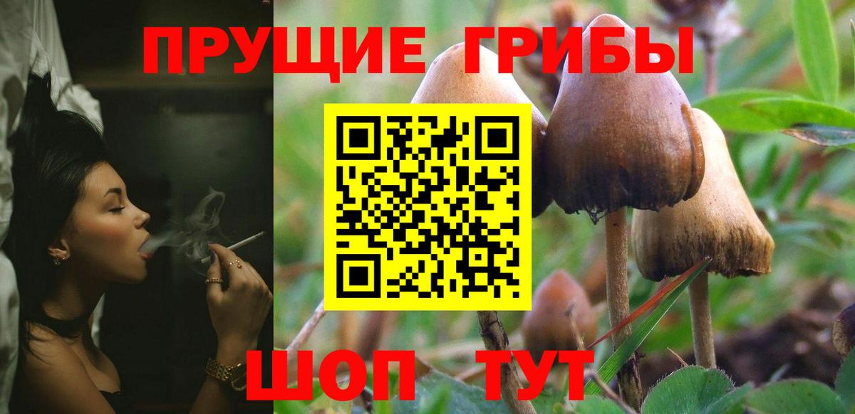 Псилоцибиновые грибы Psilocybine cubensis  Вход с VPN  Галлюциногенные грибы Magic Shrooms  Якутск 